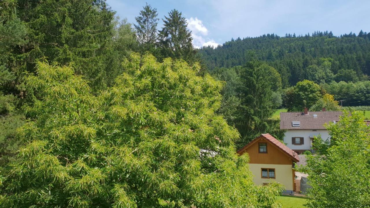 Silberkoenig Schwarzwald Hotel & Restaurant Ringhotel Gutach im Breisgau Dış mekan fotoğraf