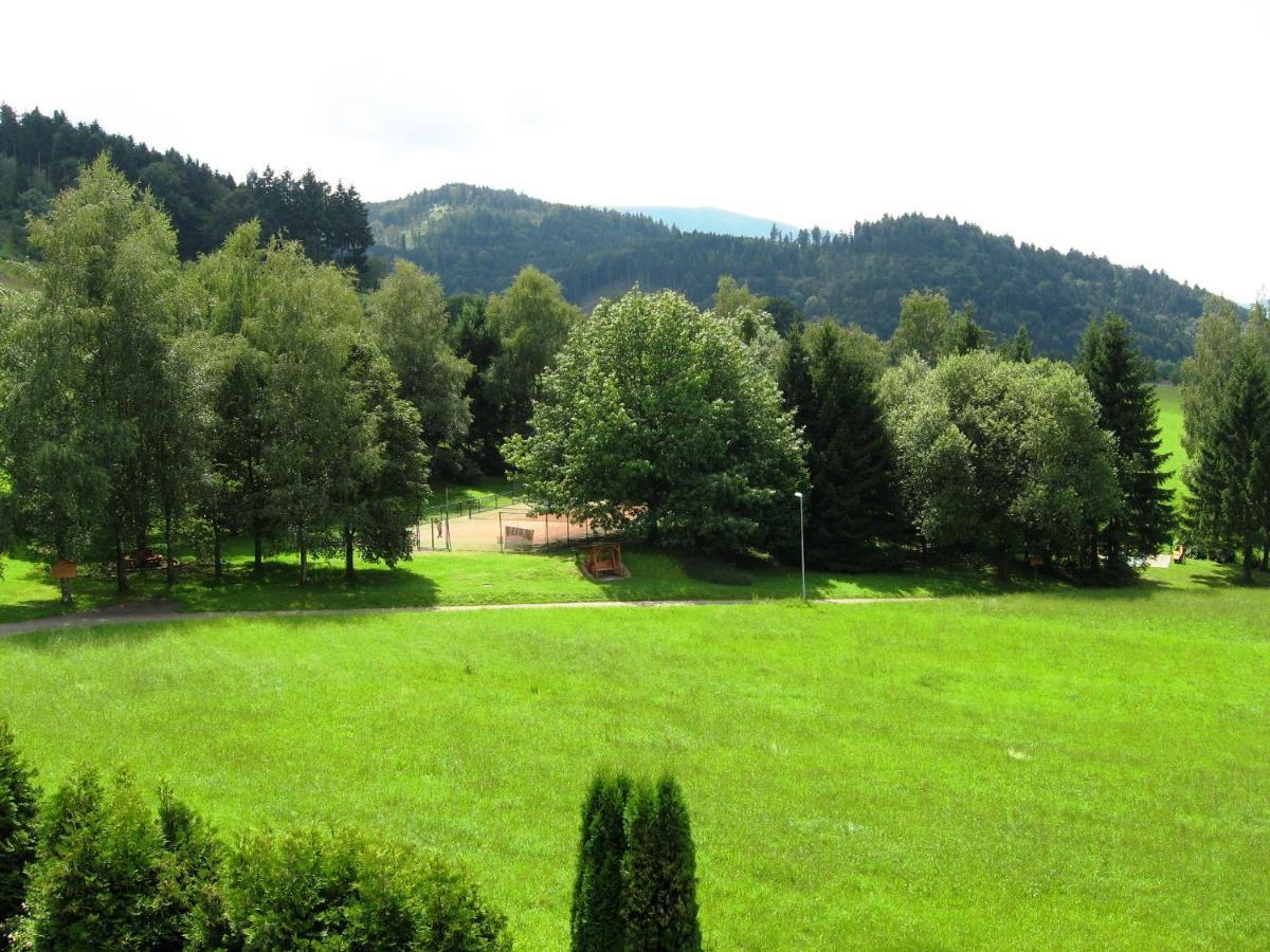 Silberkoenig Schwarzwald Hotel & Restaurant Ringhotel Gutach im Breisgau Dış mekan fotoğraf